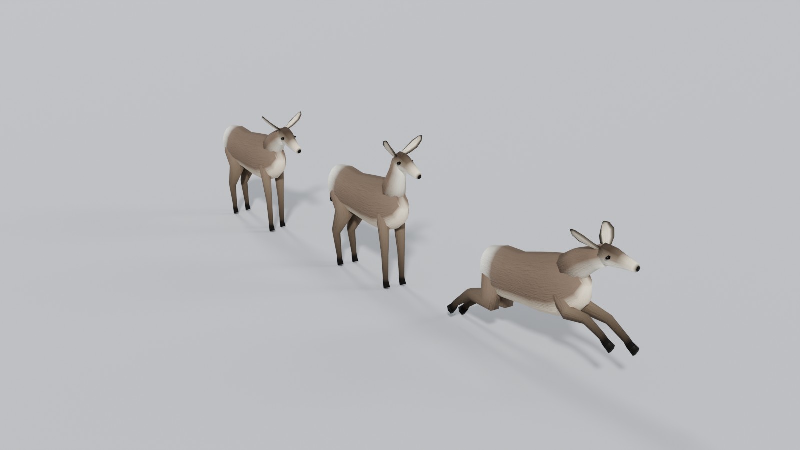 Mule deer