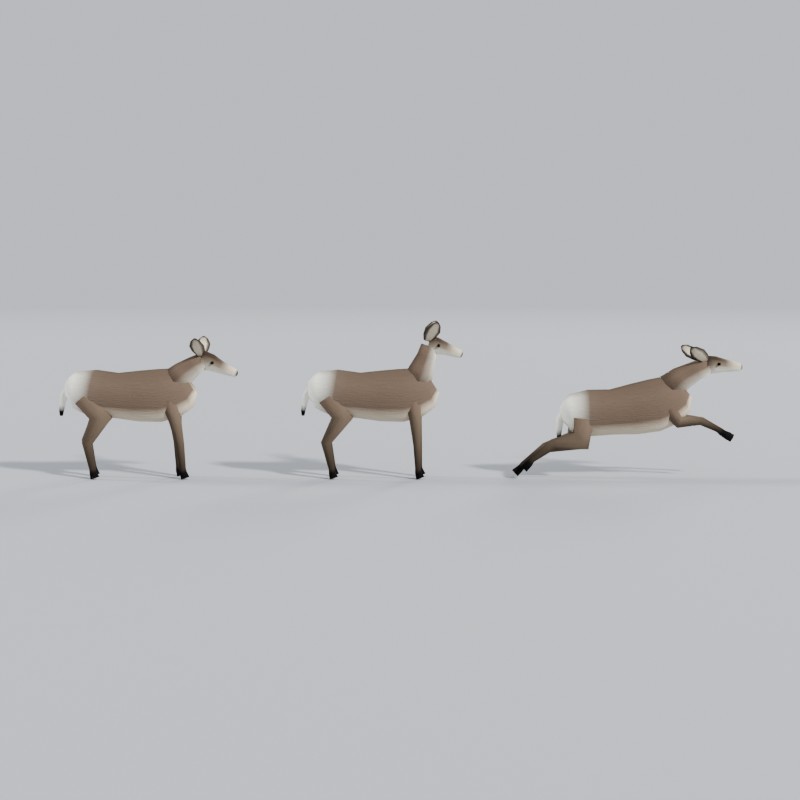 Mule deer, left view