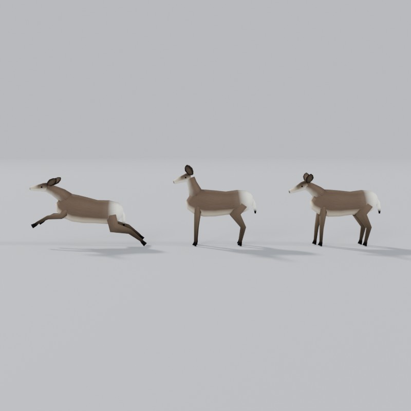 Mule deer, right view