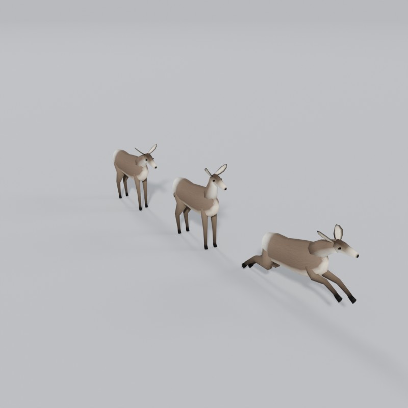 Mule deer, three-quarter view