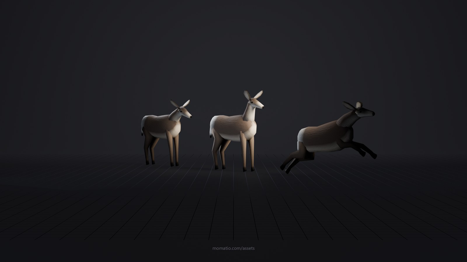 Mule deer in a dark photo studio, lit like a product shot
