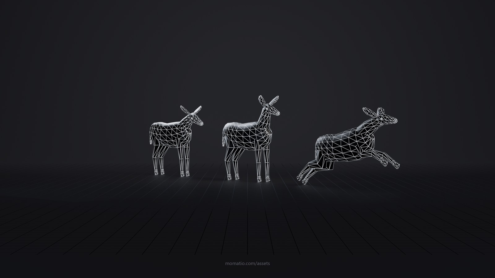 Mule deer as a wireframe: the edges of its triangles on a dark studio floor