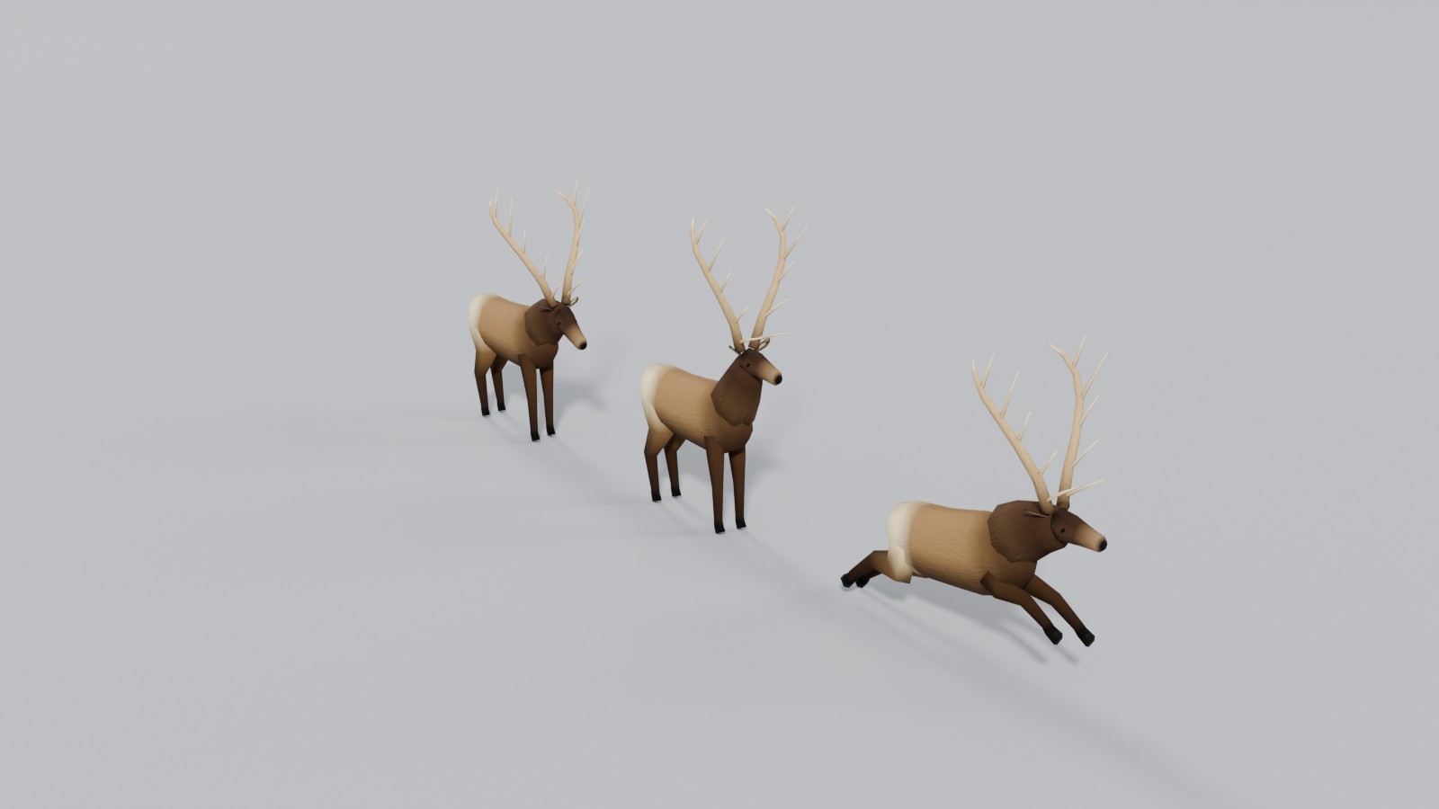 Rocky Mountain bull elk, a still picture of version 3