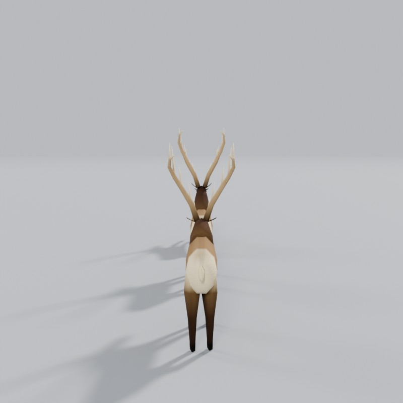 Rocky Mountain bull elk, back view