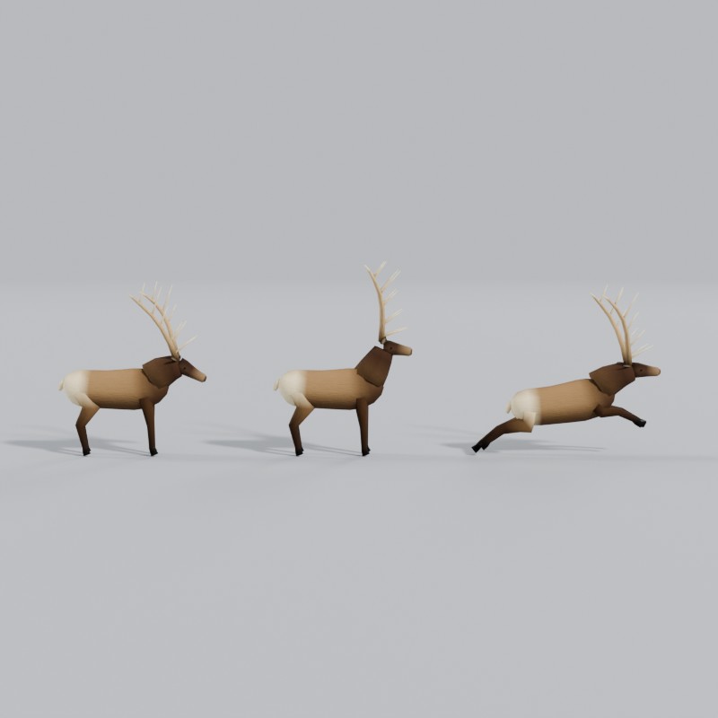 Rocky Mountain bull elk, left view