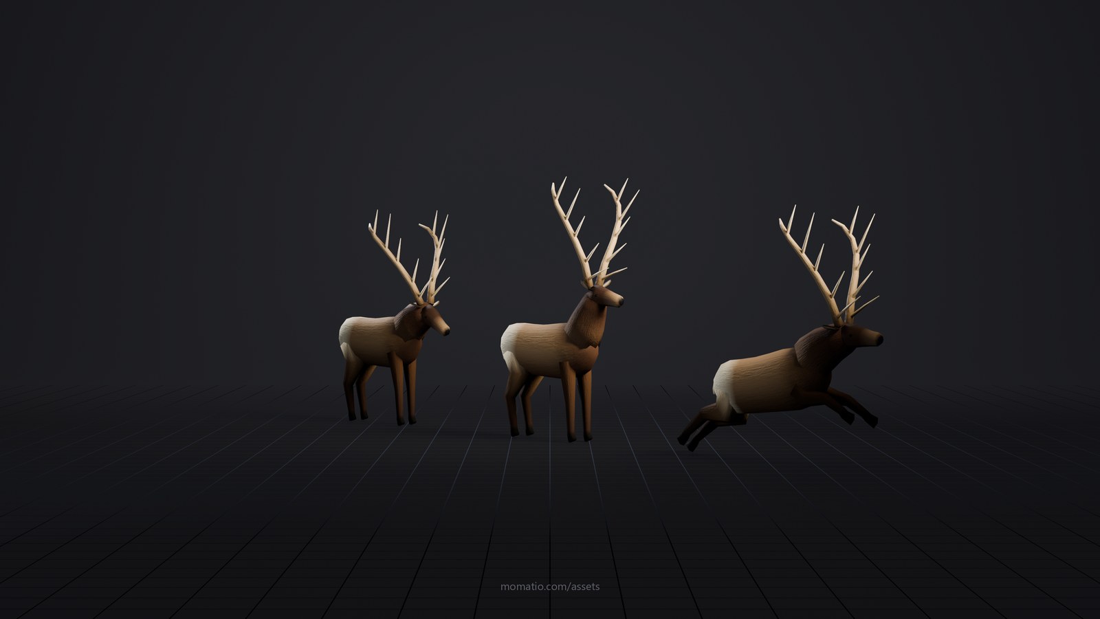 Rocky Mountain bull elk in a dark photo studio, lit like a product shot