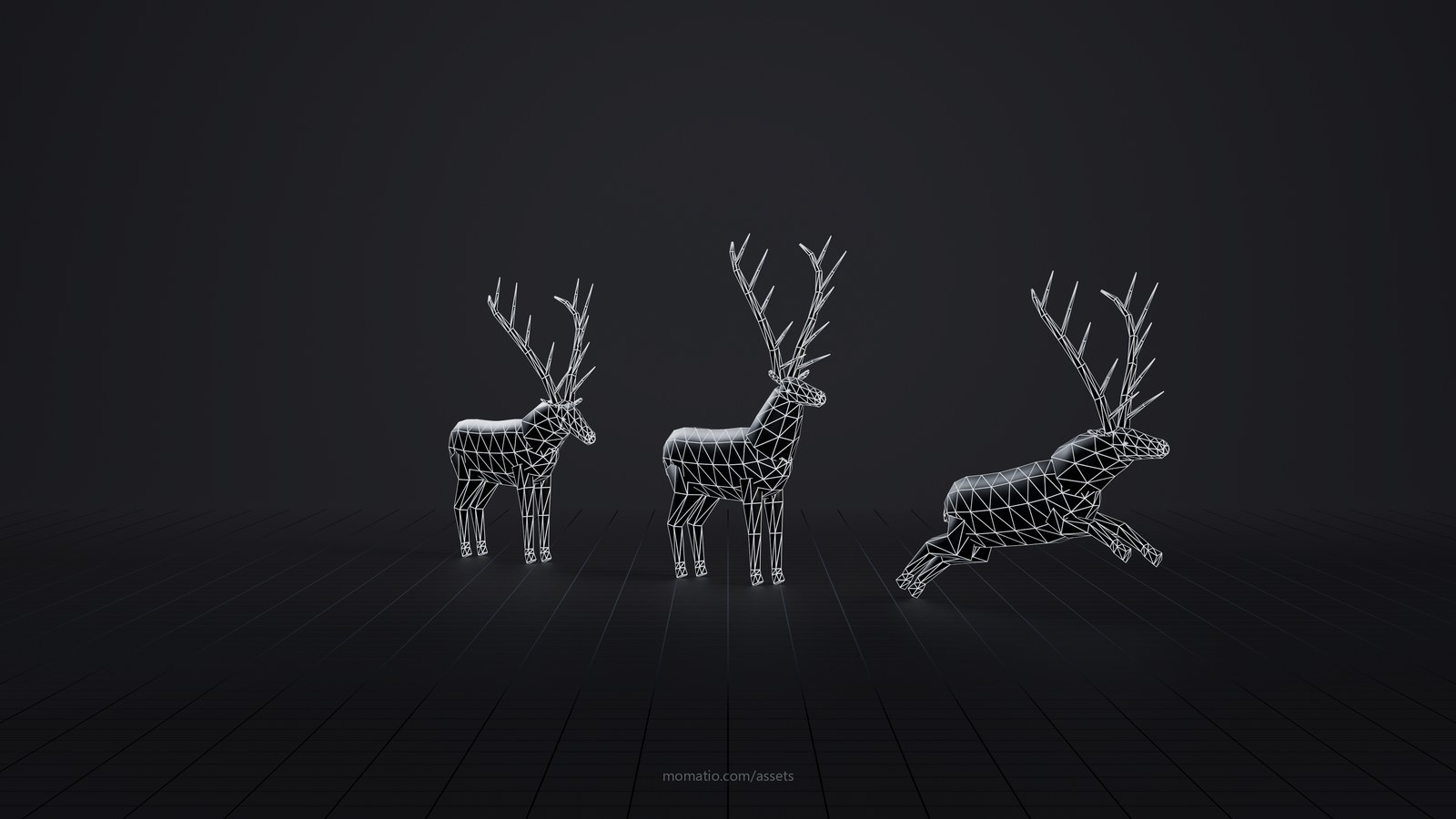 Rocky Mountain bull elk as a wireframe: the edges of its triangles on a dark studio floor